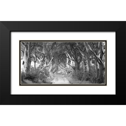 The Dark Hedges, Ireland (BW) Black Modern Wood Framed Art Print with Double Matting by Pangea Images