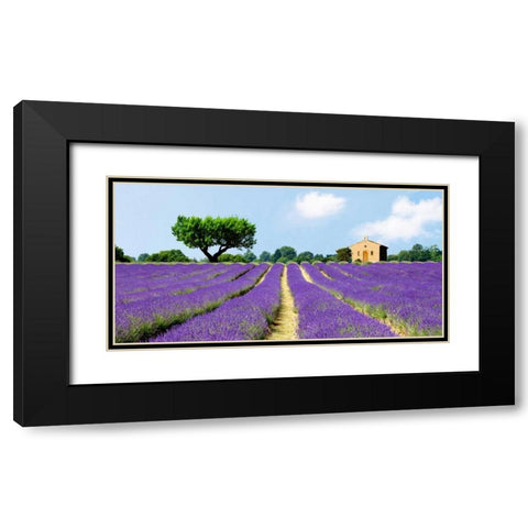 Lavender Fields, France  Black Modern Wood Framed Art Print with Double Matting by Pangea Images