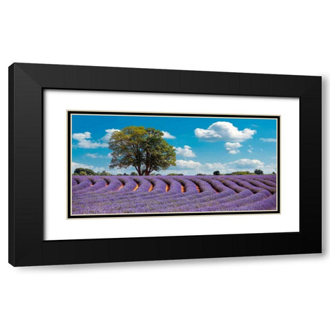 Lavender Field in Provence, France Black Modern Wood Framed Art Print with Double Matting by Pangea Images