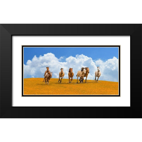 Herd of wild horses Black Modern Wood Framed Art Print with Double Matting by Pangea Images