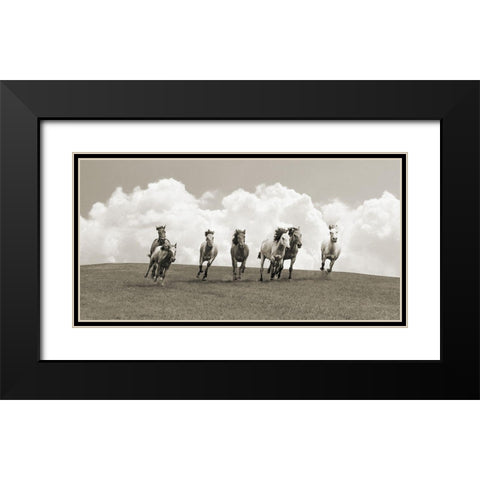 Herd of wild horses (BW) Black Modern Wood Framed Art Print with Double Matting by Pangea Images