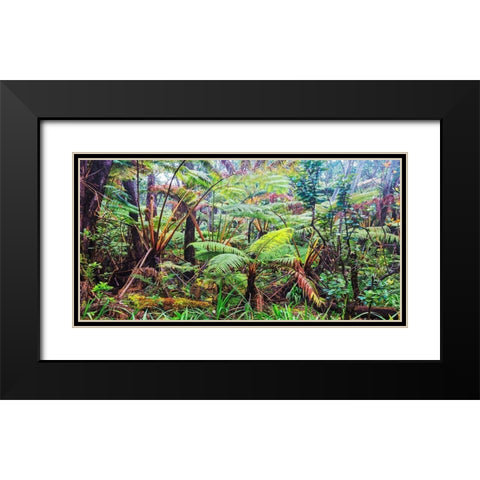 Palm and fern forest, Hawaii (detail) Black Modern Wood Framed Art Print with Double Matting by Pangea Images