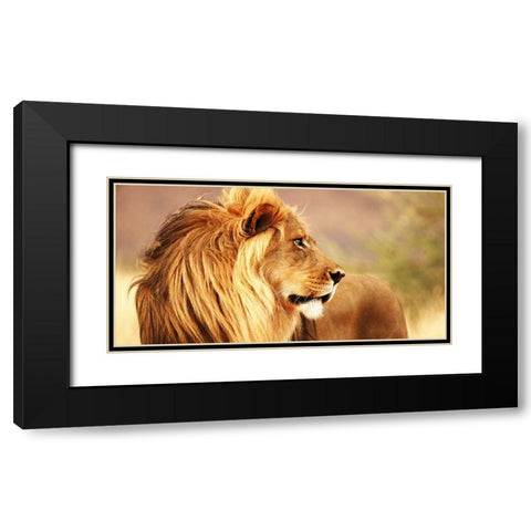 Male lion, Namibia (detail) Black Modern Wood Framed Art Print with Double Matting by Anonymous