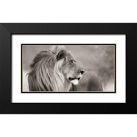 Male lion, Namibia (detail, BW) Black Modern Wood Framed Art Print with Double Matting by Anonymous