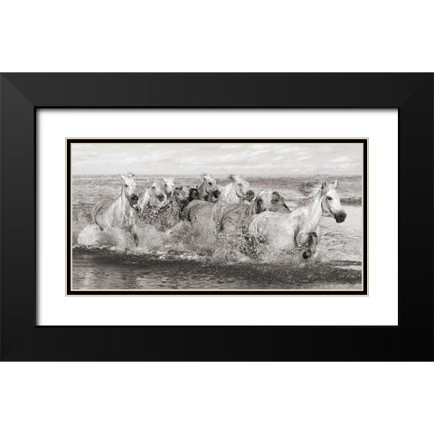 Herd of Horses- Camargue Black Modern Wood Framed Art Print with Double Matting by Pangea Images