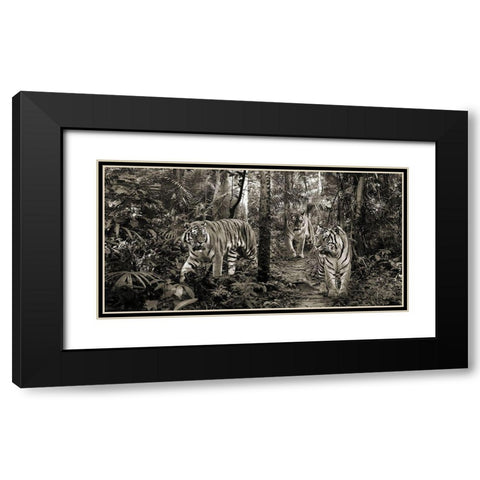 Bengal Tigers (detail- BW) Black Modern Wood Framed Art Print with Double Matting by Pangea Images