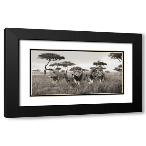 Brothers- Masai Mara- Kenya (detail) Black Modern Wood Framed Art Print with Double Matting by Pangea Images