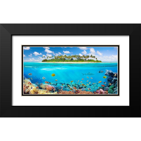 The Coral Reef Black Modern Wood Framed Art Print with Double Matting by Pangea Images