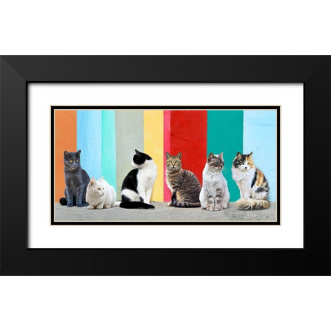 Cats in the Sun Black Modern Wood Framed Art Print with Double Matting by Pangea Images