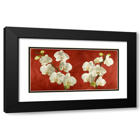 Orchids on Red Background Black Modern Wood Framed Art Print with Double Matting by Antinori, Andrea