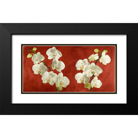 Orchids on Red Background Black Modern Wood Framed Art Print with Double Matting by Antinori, Andrea