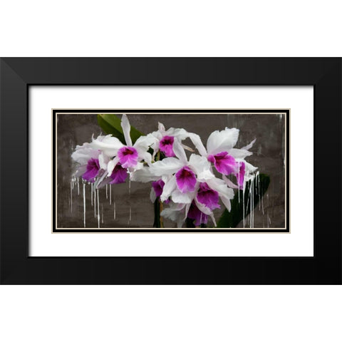 Orchid blackboard Black Modern Wood Framed Art Print with Double Matting by Vinci, Alex