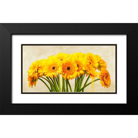 Gerbera Abstraction Black Modern Wood Framed Art Print with Double Matting by Vinci, Alex