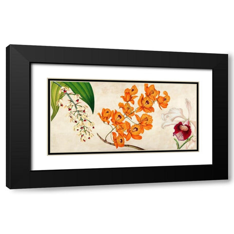 Panneau Botanique II Black Modern Wood Framed Art Print with Double Matting by Dellal, Remy
