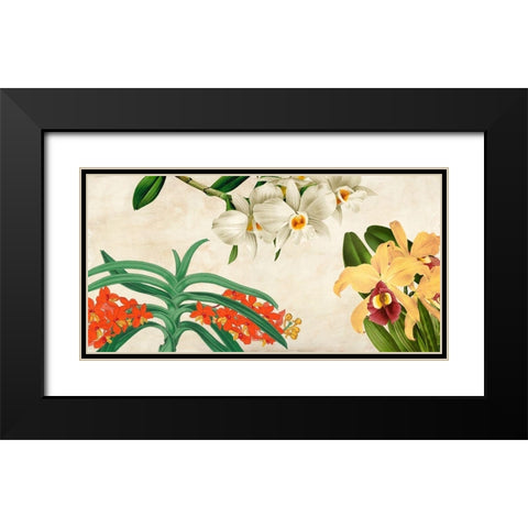 Panneau Botanique III Black Modern Wood Framed Art Print with Double Matting by Dellal, Remy