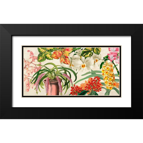 Panneau Botanique IV Black Modern Wood Framed Art Print with Double Matting by Dellal, Remy