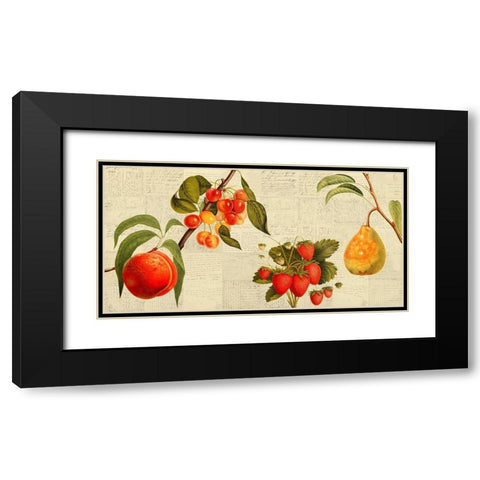Fruits de saison Black Modern Wood Framed Art Print with Double Matting by Dellal, Remy