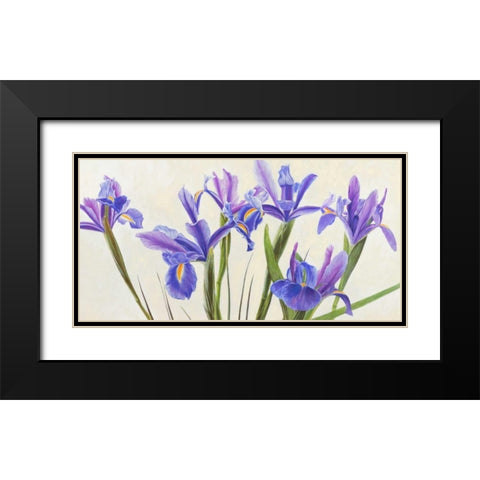 Iris Black Modern Wood Framed Art Print with Double Matting by Dolci, Elena