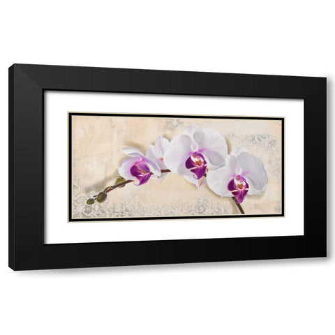 Royal Orchid Black Modern Wood Framed Art Print with Double Matting by Dolci, Elena