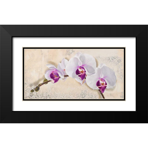Royal Orchid Black Modern Wood Framed Art Print with Double Matting by Dolci, Elena