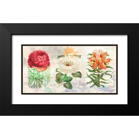 Hortus Botanicus 2.0 Black Modern Wood Framed Art Print with Double Matting by Chestier, Eric