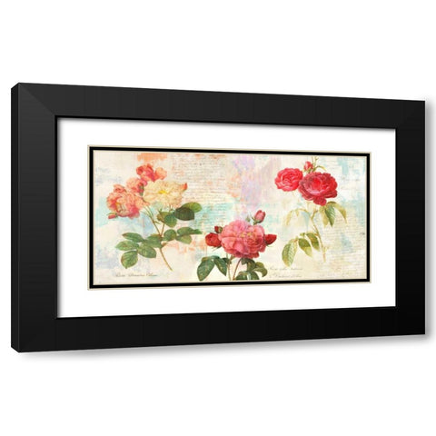 Redoutes Roses 2.0 Black Modern Wood Framed Art Print with Double Matting by Chestier, Eric