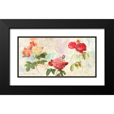 Redoutes Roses 2.0 Black Modern Wood Framed Art Print with Double Matting by Chestier, Eric