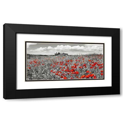 Farm house with cypresses and poppies, Tuscany, Italy Black Modern Wood Framed Art Print with Double Matting by Krahmer, Frank