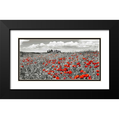 Farm house with cypresses and poppies, Tuscany, Italy Black Modern Wood Framed Art Print with Double Matting by Krahmer, Frank