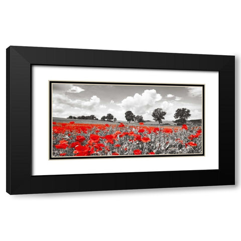 Poppies and vicias in meadow, Mecklenburg Lake District, Germany Black Modern Wood Framed Art Print with Double Matting by Krahmer, Frank