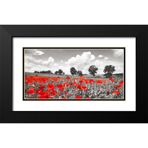 Poppies and vicias in meadow, Mecklenburg Lake District, Germany Black Modern Wood Framed Art Print with Double Matting by Krahmer, Frank