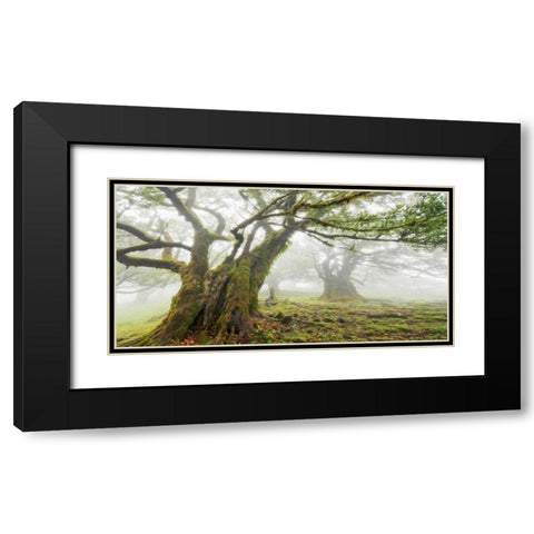 Laurel forest in fog, Madeira, Portugal Black Modern Wood Framed Art Print with Double Matting by Krahmer, Frank