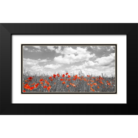 Poppies in corn field, Bavaria, Germany Black Modern Wood Framed Art Print with Double Matting by Krahmer, Frank