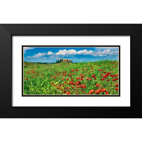 Farm house with cypresses and poppies, Tuscany, Italy Black Modern Wood Framed Art Print with Double Matting by Krahmer, Frank
