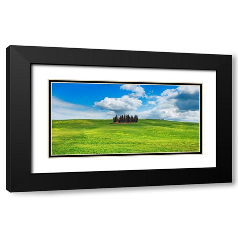 Cypresses- Val dOrcia- Tuscany (detail) Black Modern Wood Framed Art Print with Double Matting by Krahmer, Frank