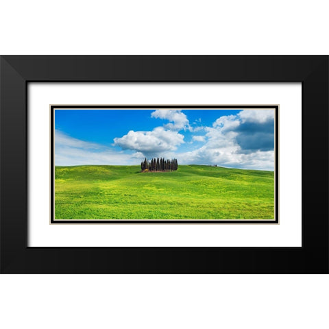 Cypresses- Val dOrcia- Tuscany (detail) Black Modern Wood Framed Art Print with Double Matting by Krahmer, Frank