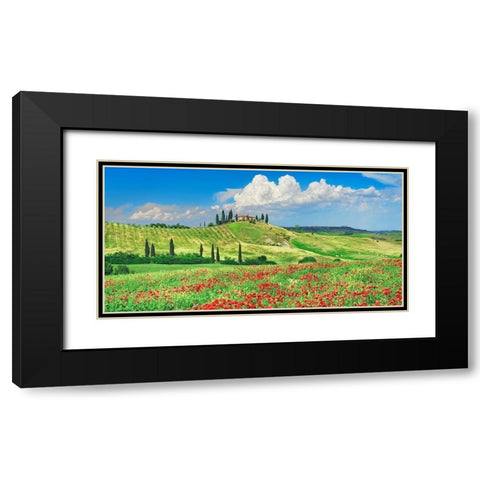 Farmhouse with Cypresses and Poppies- Val dOrcia- Tuscany  Black Modern Wood Framed Art Print with Double Matting by Krahmer, Frank