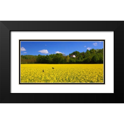 Volo di rondini Black Modern Wood Framed Art Print with Double Matting by Ferrua, Fulvio