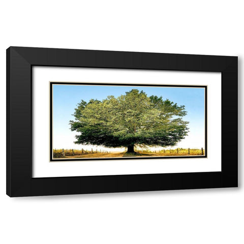 Un secolo di tramonti Black Modern Wood Framed Art Print with Double Matting by Fulvio, Ferrua