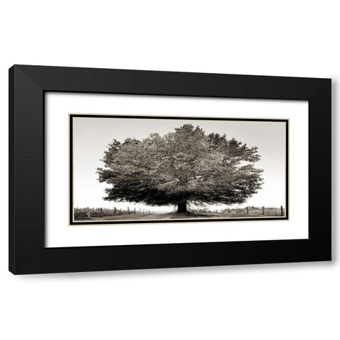 Un secolo di tramonti (BW) Black Modern Wood Framed Art Print with Double Matting by Fulvio, Ferrua