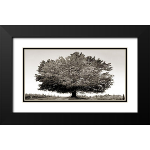 Un secolo di tramonti (BW) Black Modern Wood Framed Art Print with Double Matting by Fulvio, Ferrua