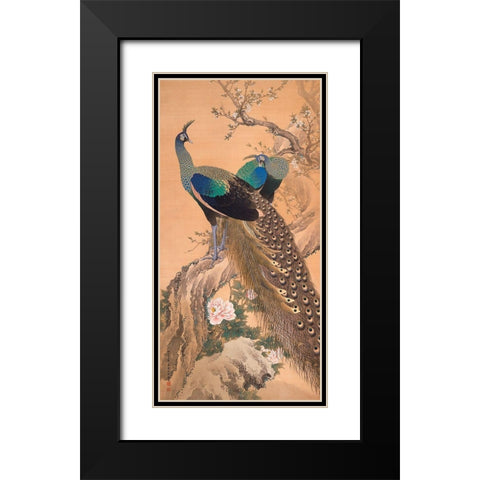 A Pair of Peacocks in Spring Black Modern Wood Framed Art Print with Double Matting by Imao KeinenImao, Keinen