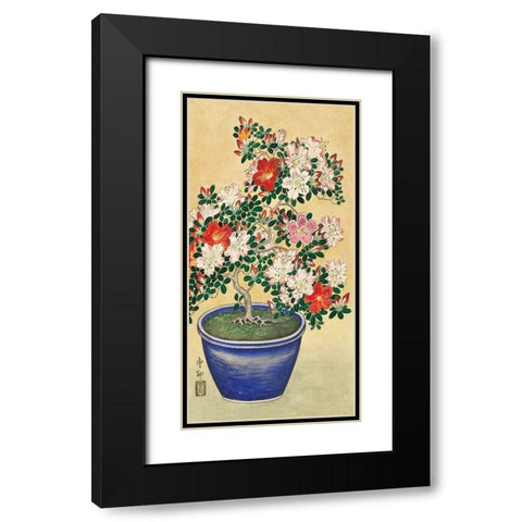 Blooming azalea in blue pot Black Modern Wood Framed Art Print with Double Matting by Koson, Ohara