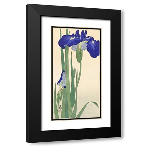 Irises Black Modern Wood Framed Art Print with Double Matting by Koson, Ohara