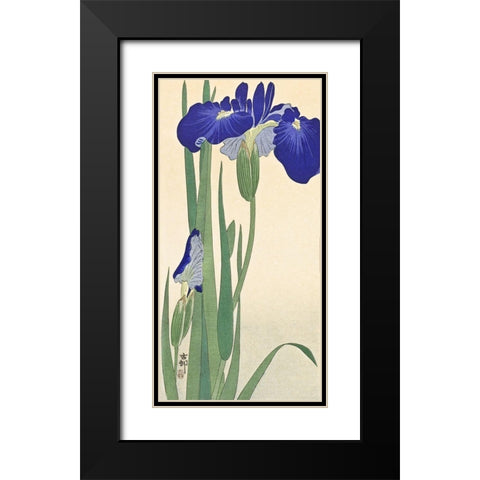 Irises Black Modern Wood Framed Art Print with Double Matting by Koson, Ohara