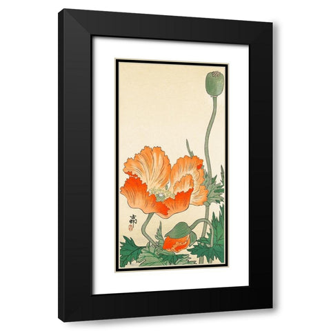 Poppies Black Modern Wood Framed Art Print with Double Matting by Koson, Ohara