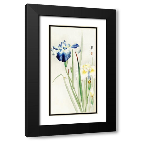 Irises Black Modern Wood Framed Art Print with Double Matting by Koson, Ohara