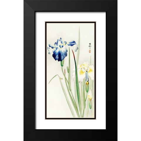 Irises Black Modern Wood Framed Art Print with Double Matting by Koson, Ohara