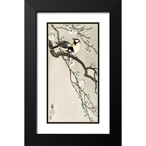 Tits on Cherry Branch Black Modern Wood Framed Art Print with Double Matting by Koson, Ohara
