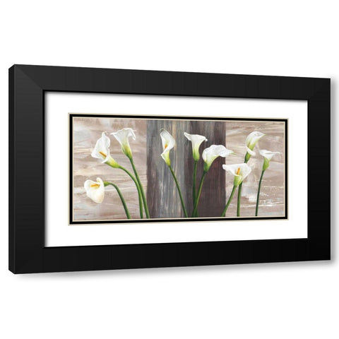 Country Callas Black Modern Wood Framed Art Print with Double Matting by Thomlinson, Jenny